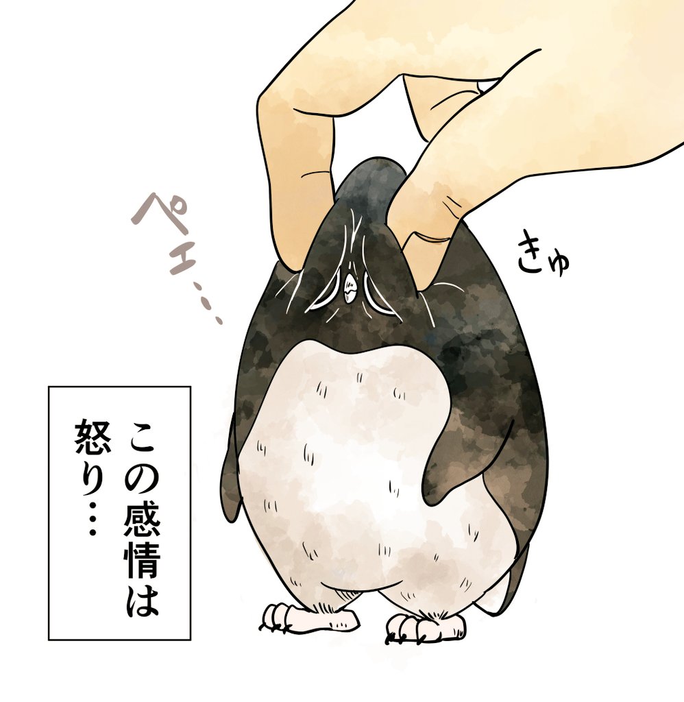 もっちり虚無なアデリーペンギン、届け〜!🐧🐧🐧
#イラストを4枚貼ると秋風に乗って絵柄を好いてくれる人の元へ届くらしい 