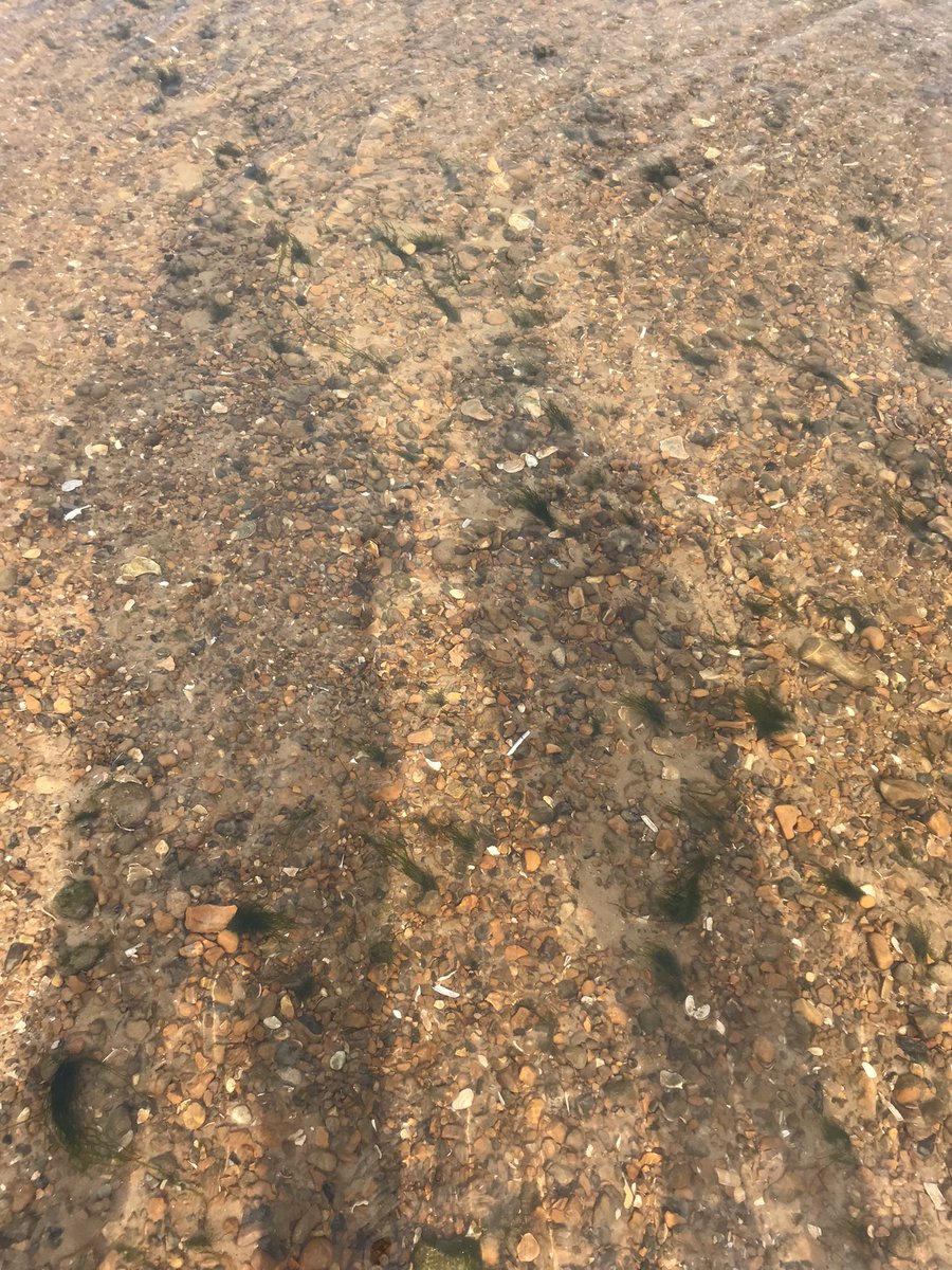 Cath Brocklebank tweet media