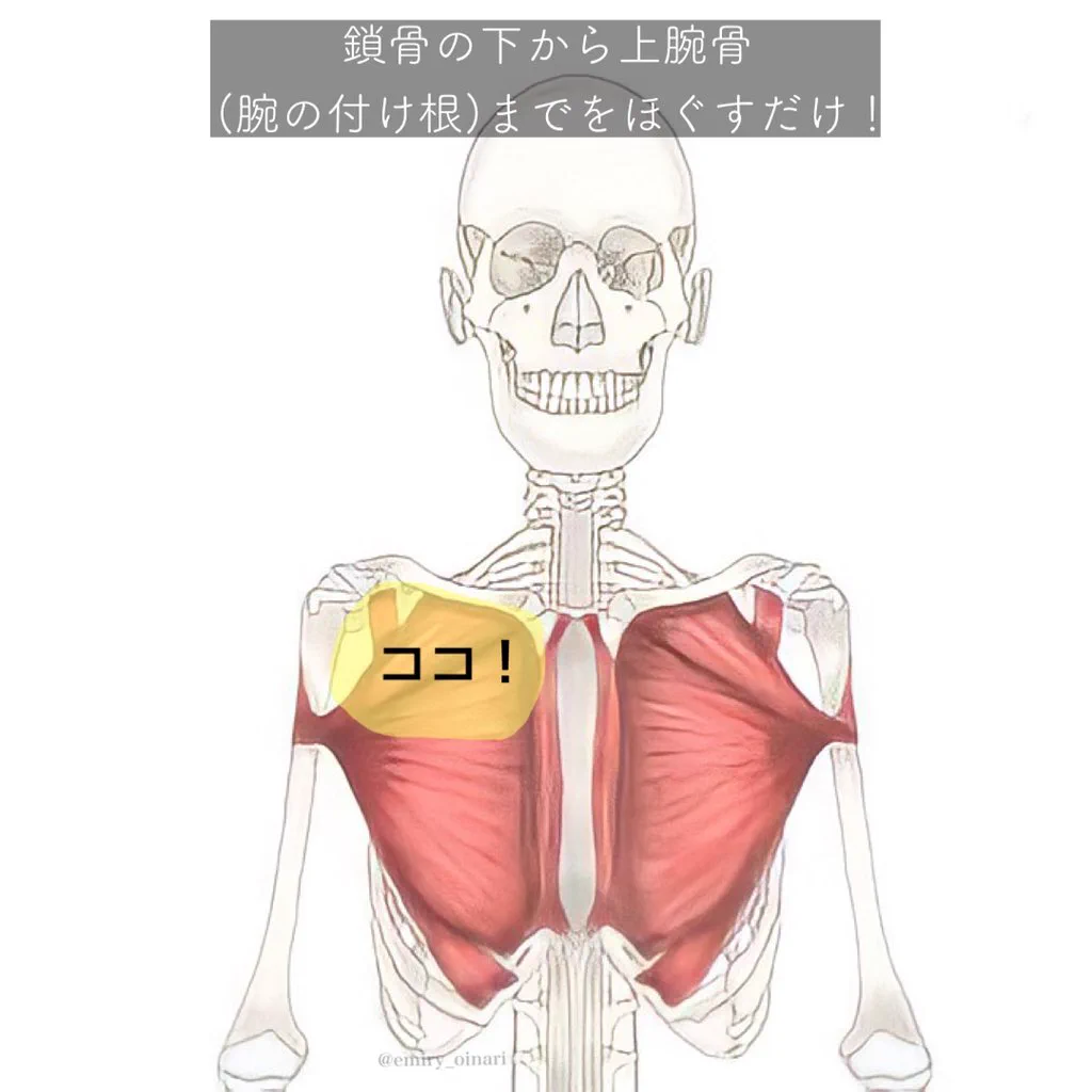 巻き肩や猫背など姿勢にお悩みの方、このマッサージを試してみて！