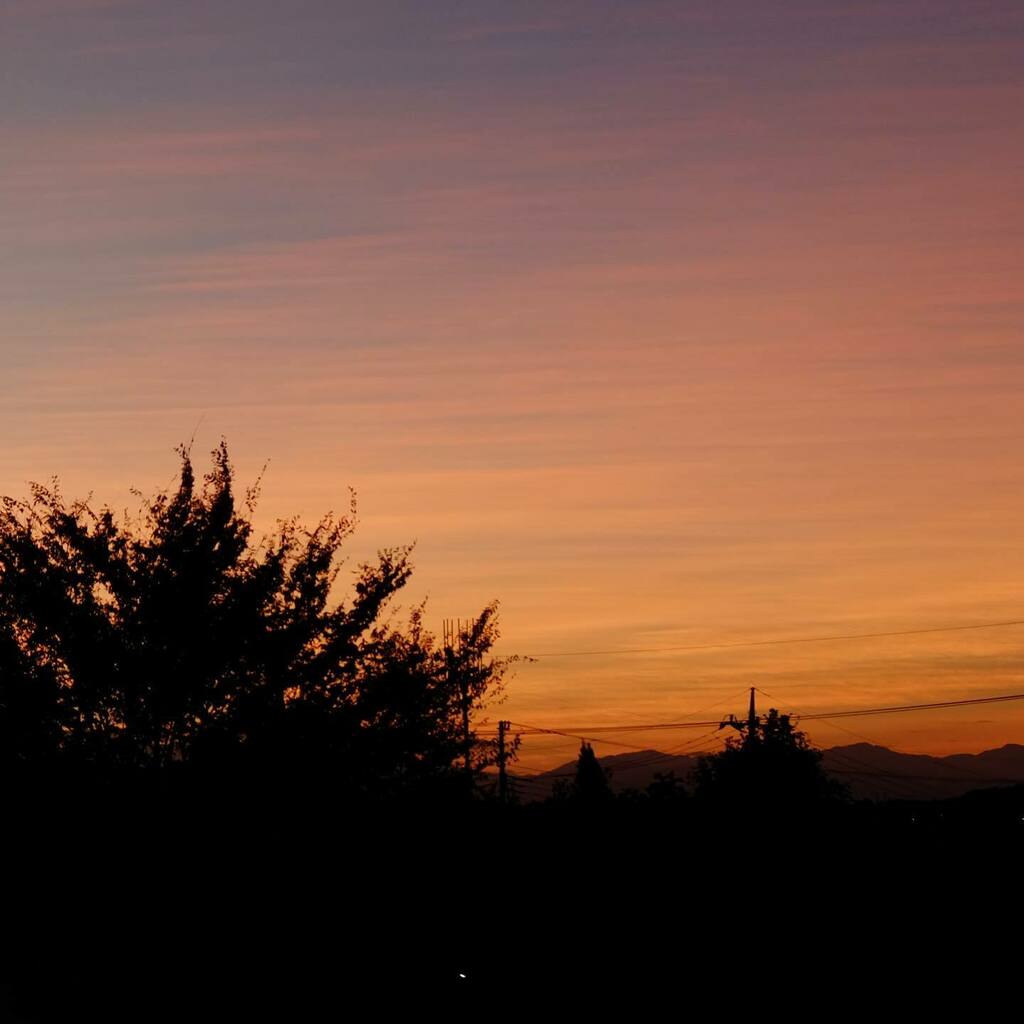 meganecks's tweet photo. 本日夕景
#日暮れ
#夕焼け
#sunset
#sunsetlovers
#japan
#tokyocameraclub
#東京カメラ部
#写真
#ストリートスナップ
#スナップ写真
#日常写真
#日常
#写真好きな人と繋がりたい
#フジフィルム
#fujifilm
#fujixt10
#xt10 https://t.co/w57RXpCRLA