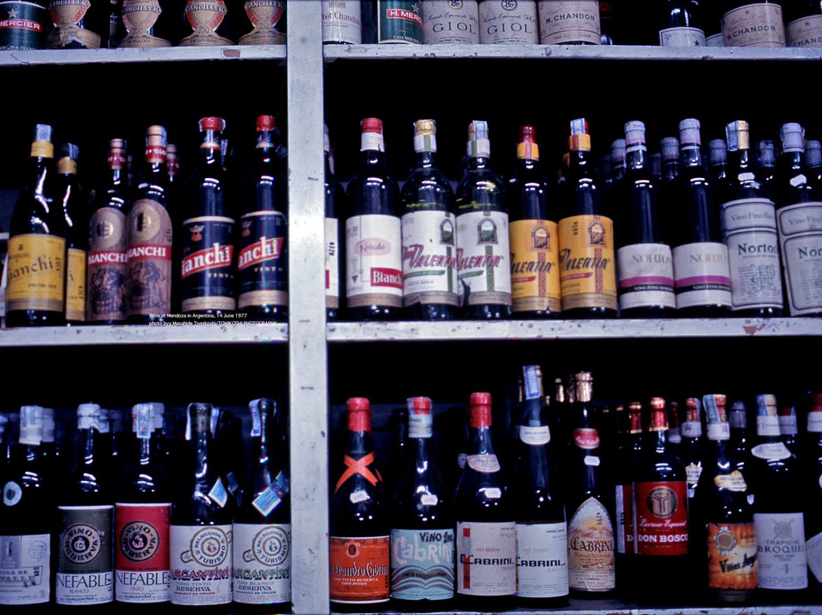 Wine at Mendoza in Argentina, 14 June 1977 
photo byy Masahide Tomikoshi/TOMIKOSHI PHOTOGRAPHY