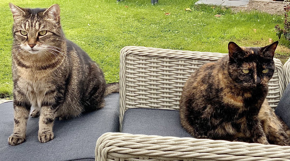New garden furniture has arrived. There is two recliners so why does <a href="/Louieboy2/">Louieboy</a> have to get on mine wif me?