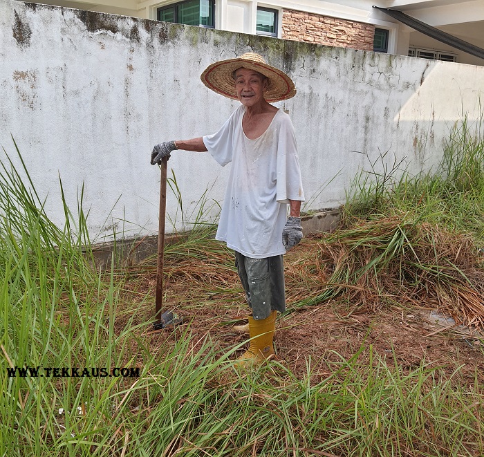 tekkaus's tweet photo. Clearing Weeds From Our Garden
DIY weeding on our own!
No weed is safe!
https://t.co/HB3NEGX56V
#clearweed #gardening #weeding https://t.co/RVQ0df3UqQ