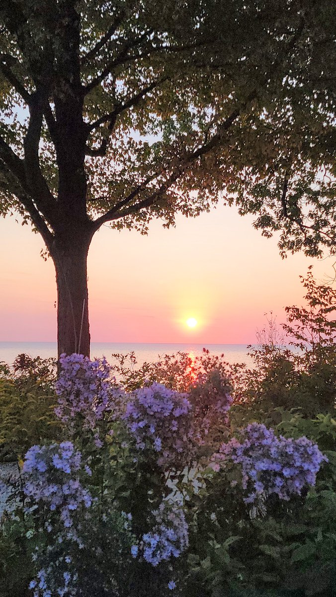 Academy911's tweet photo. @spann #youdontbringmeflowersanymore #weatherwatch #watchweather #weatherspotter #weatheryoulikeitornot #weatheringwithyou #spannwx #weatherchannel #weathergeeks #greatlakes #lakemichigan #lakeforest #illinois #usa πΊπ² https://t.co/LX0ne8O241