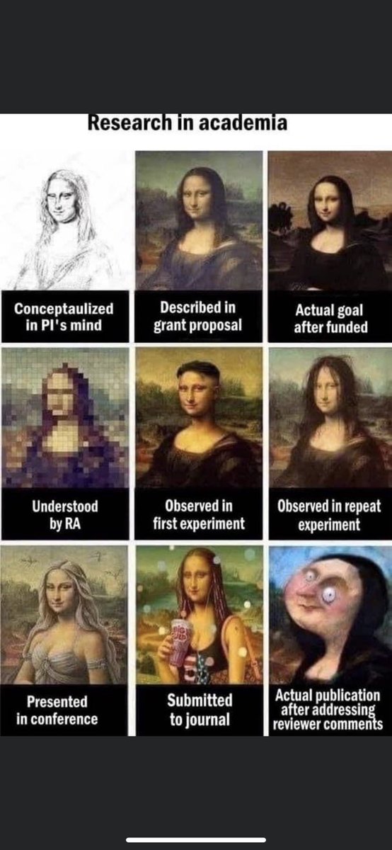 Maria Gardiner tweet media