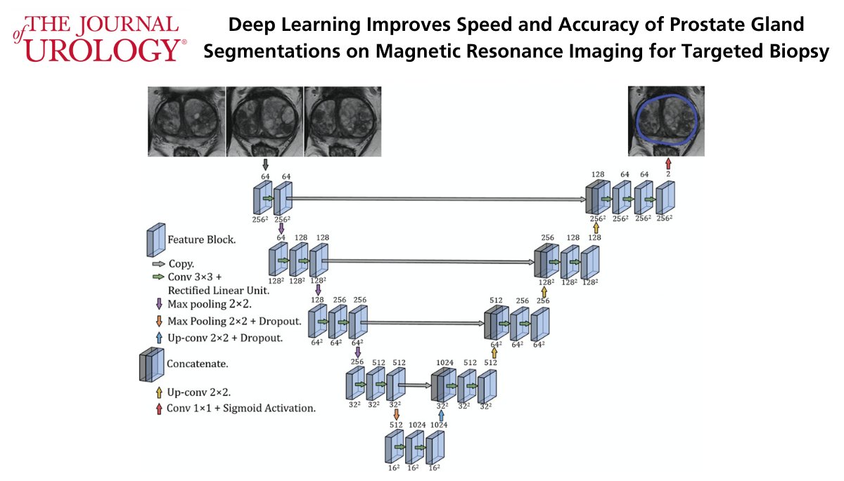 Open Access Article from the September Issue: Deep Learning Improves Speed and Accuracy of Prostate Gland Segmentations on Magnetic Resonance Imaging for Targeted Biopsy bit.ly/3xDA94M @geoffsonn