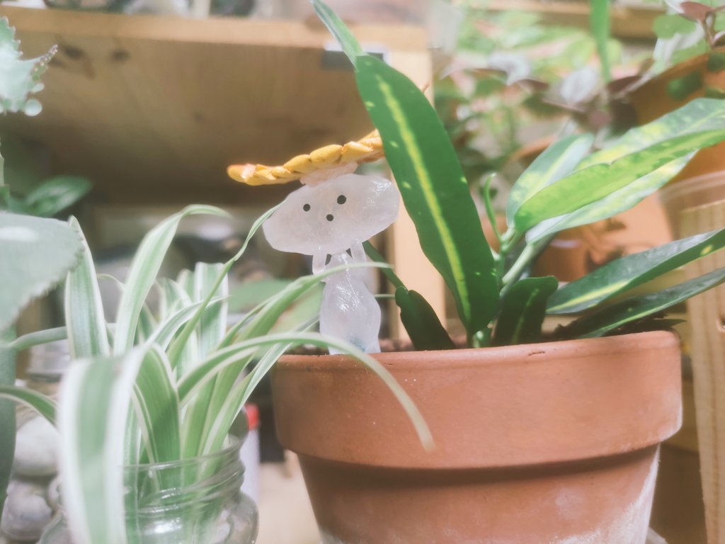 EbibiGlass's tweet photo. 🍂 tirage au sort 🍂
En octobre il y a deux nouvelles sorte de kodama saisonnier qui arrivent.
Pour fêter ça, voici un tirage au sort pour gagner le prototype du kodama chapofeuille 

RT+ Follow pour tenter de le gagner

Tirage vendredi 24 septembre https://t.co/uv5e4dytcp