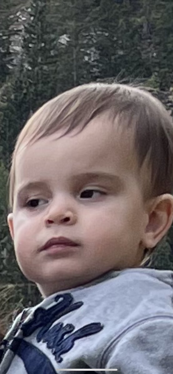 larrosa_sof's tweet image. the rbf comes from    ✨mommy✨✨