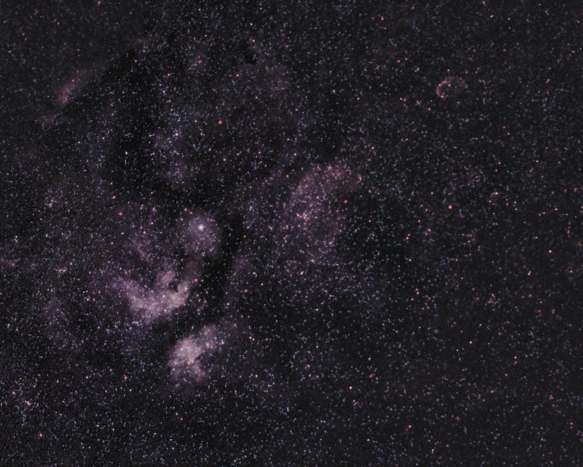 astrophemeris's tweet photo. Probando el Optolong UHC en Valencia. 
#nebulosa #astro #fotografia #nikon #APOD https://t.co/Am522Bd98p
