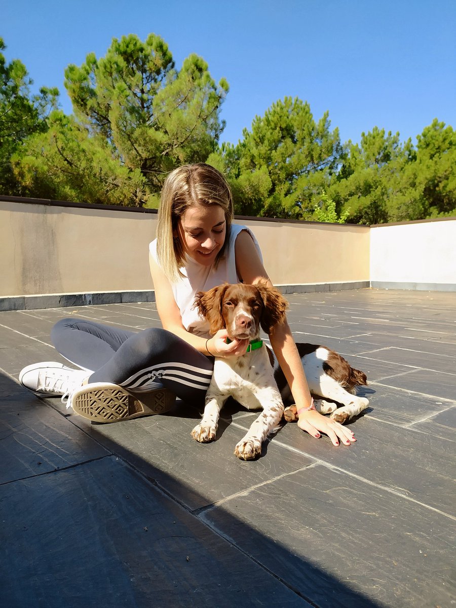 PamelaPaFe's tweet photo. Ver a Kika así de tranquila merecía una foto, o unas pocas...

🤍🐶 https://t.co/VTqCJ9CRyI