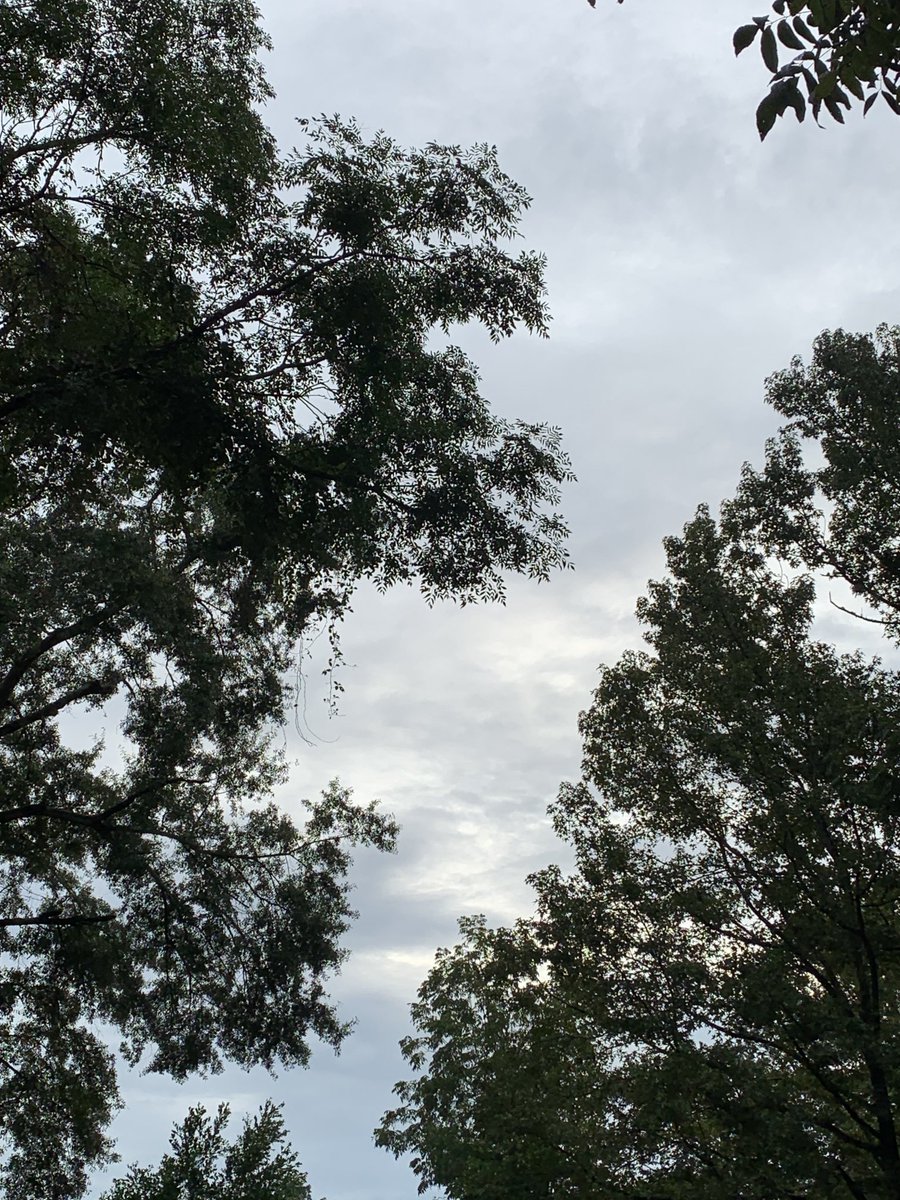 sokamoto's tweet photo. Good morning, Columbus! #ColumbusGA #mydailyphoto #09/19/2022 #2021project #uplatetoday #completelycloudy #suntryingtobreakthrough #warm #verymuggy #nobreeze #birdswakingup #cicadasloud #neighborsdogsbarking https://t.co/kAbT7DuC97