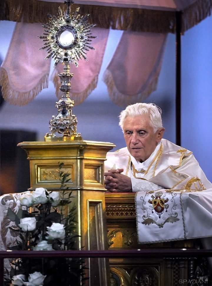 Sachinettiyil's tweet image. &quot;Everything related to the Eucharist should be marked by beauty.&quot; - Pope Benedict XVI