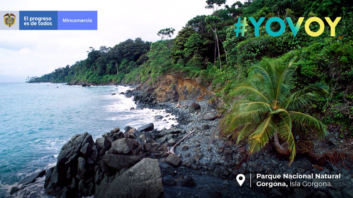 MincomercioCo's tweet photo. 😍 Disfruta de nuestra biodiversidad y visita los @ParquesColombia con responsabilidad. Conoce estos paraísos, abiertos al ecoturismo.
#YOVOY 🇨🇴 #VisitoMisParques 🍃 @MinAmbienteCo https://t.co/oHx9LIOaSV