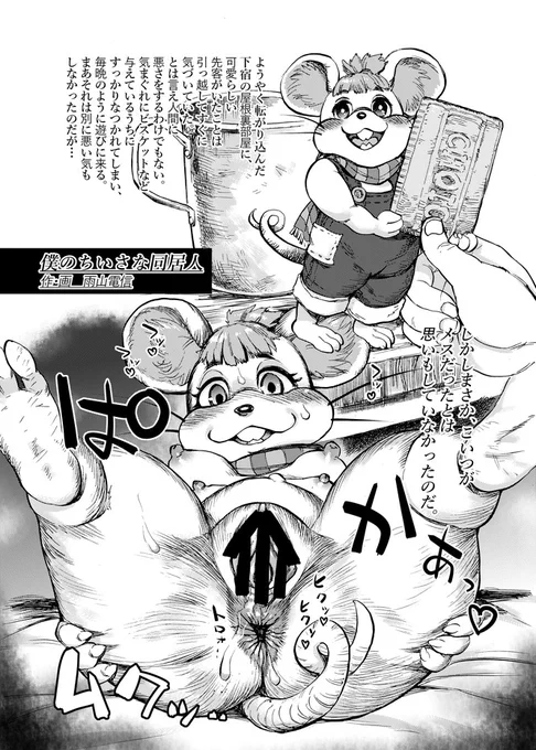 こういう感じの…。 