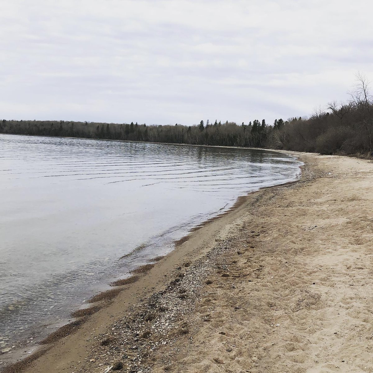 #greatcanadianhike Great Wolf Trail run along the beach  Lake Winnipeg.