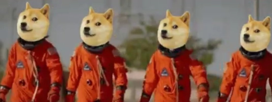 RorythomasM's tweet photo. #DogecoinToTheMoon https://t.co/OLxWiXeS4I