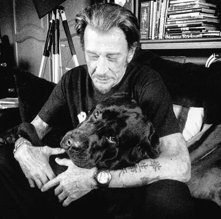 trapet1's tweet image. RIP Santos 😭 😭 une pensée à @LHallyday ainsi qu’à Jade et Joy