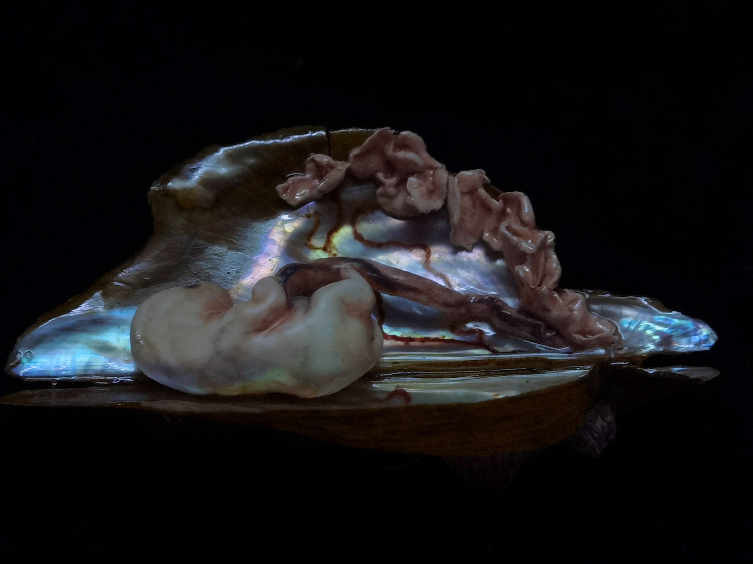 Tweets With Replies By 蛾 214bn Twitter