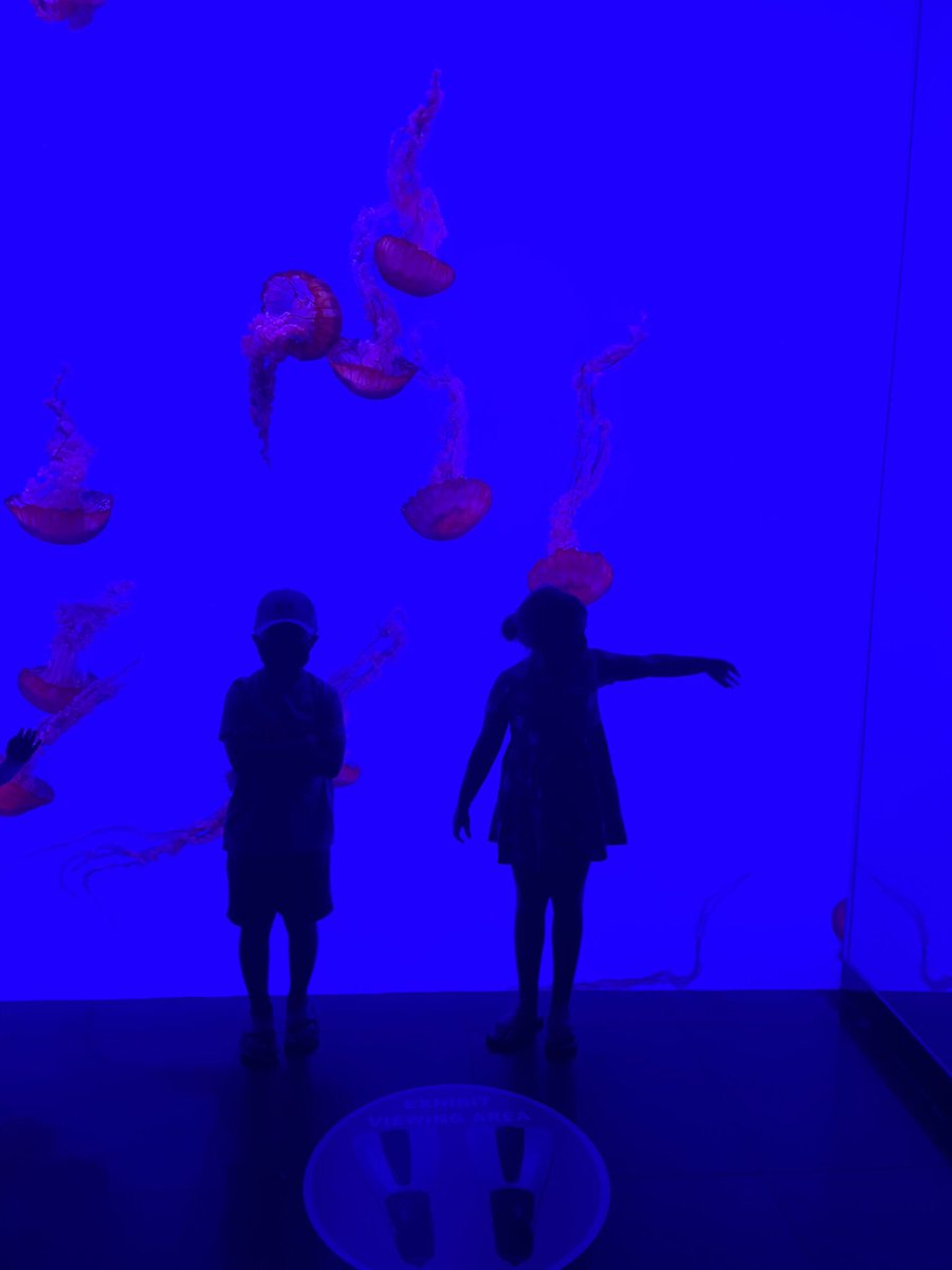 parkerrye tweet media