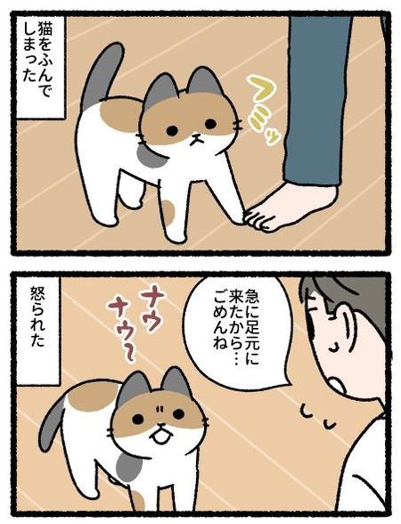 "猫ふんじゃった"ら怒る猫、しかし人をふむのは…… 悪びれない猫を許しちゃう飼い主を描いた漫画に共感集まる https://t.co/qZUDMTFYw0 @itm_nlabより