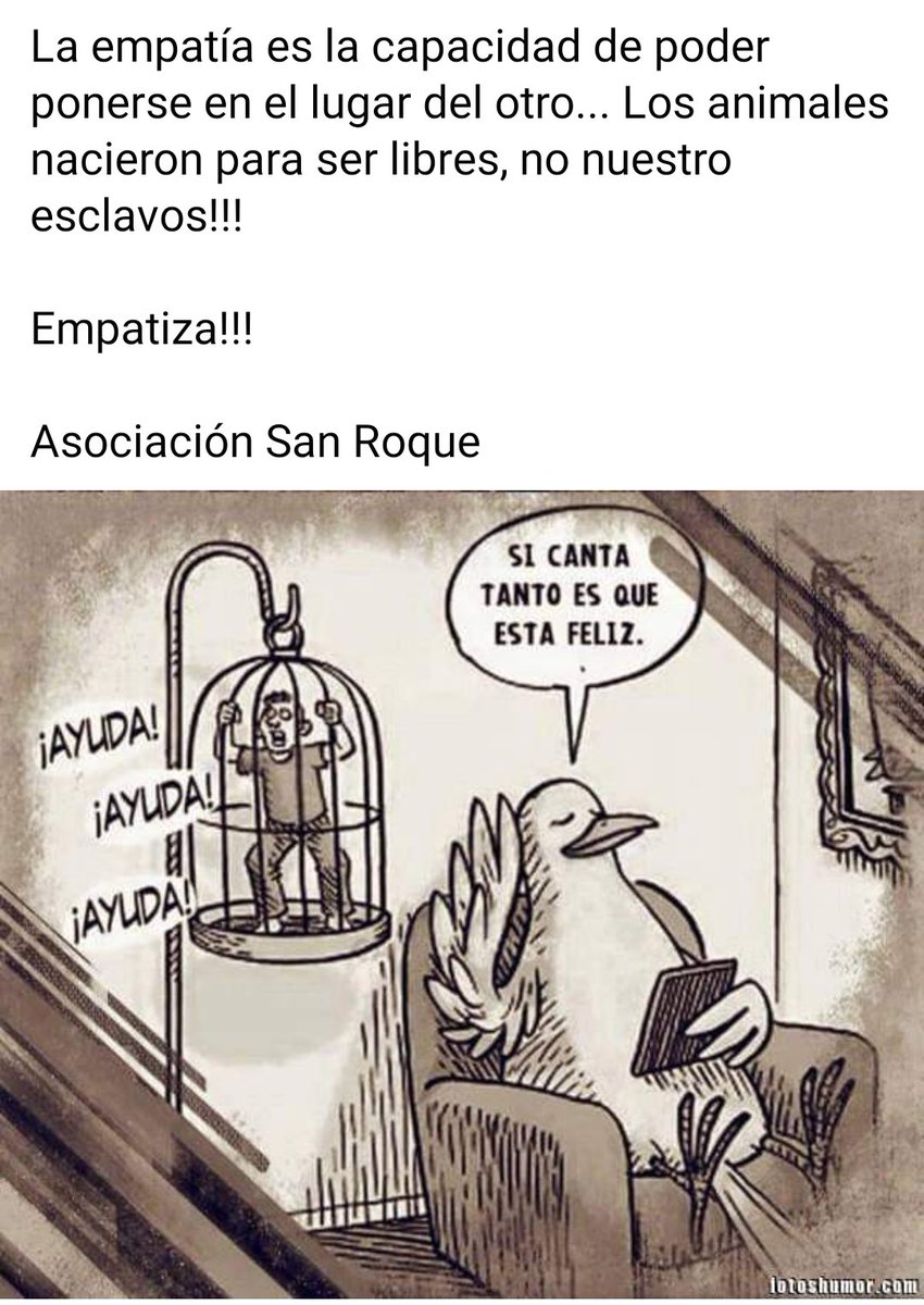 ronnie_1964's tweet photo. Excelente!!! https://t.co/AahervS1Xu
