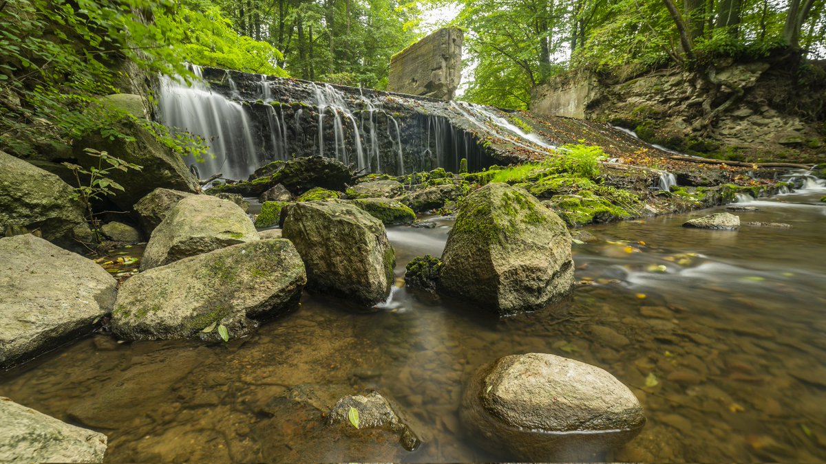 mariuszma73's tweet photo. Ruiny młyna na rzece Brzeźniczance 19.09.21, #lubuskie, #krajobrazy, #rzeki, #Polska, #landscape, https://t.co/rnn85Ht8ci