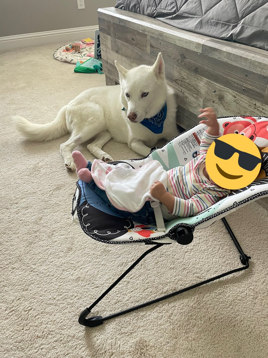 Cody Rhodes tweet media