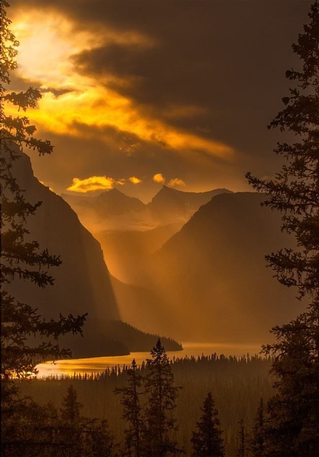 Gen_Boiko's tweet photo. As the sun seeps through a landscape of brilliancy, an illumination of dawn enchants a splendor of mist. GB https://t.co/9h469uxTX2