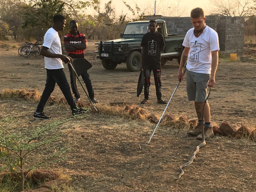 Save The Snakes tweet media