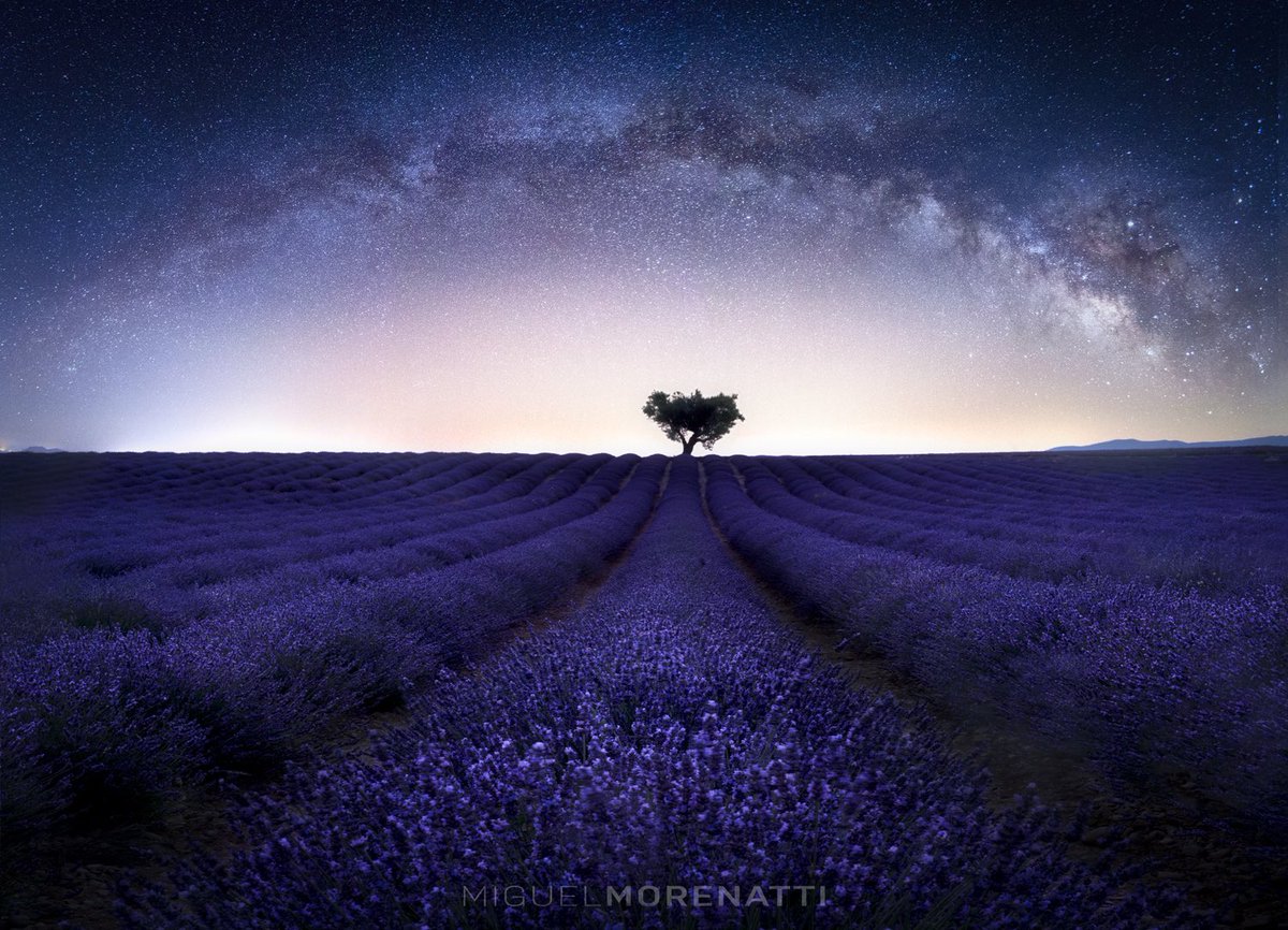 Campos de Lavanda de Valansolé.
Ya os podéis imaginar el olor que había aquí… 

-Nueva foto disponible:
👉 miguelmorenatti.com