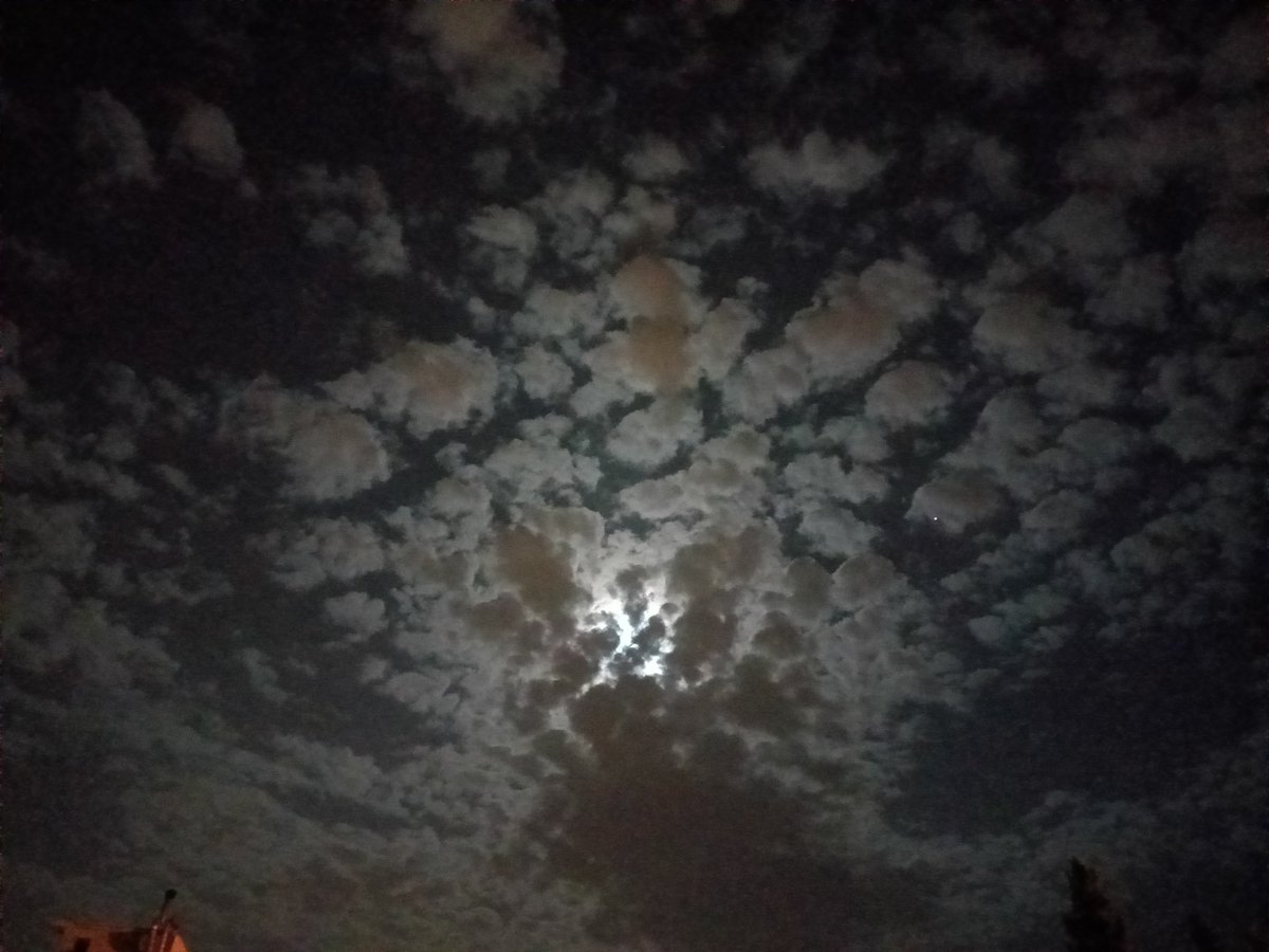 handemsicadi's tweet photo. Bir an dur ve düşün
Neler yaşadın?
Düştüğün her anı getir gözlerinin önüne
Ve nasıl güçlü ayağa kalktığını
Seni ancak sen toparlarsın
Başka güce ihtiyacın yok...
Tek gerçek var, o da sensin
Toparlan ve kalk ayağa, hayat sensin...
Anka, sensin.. 

#GeceyeNotum 🦋 https://t.co/olxCVNXDBD