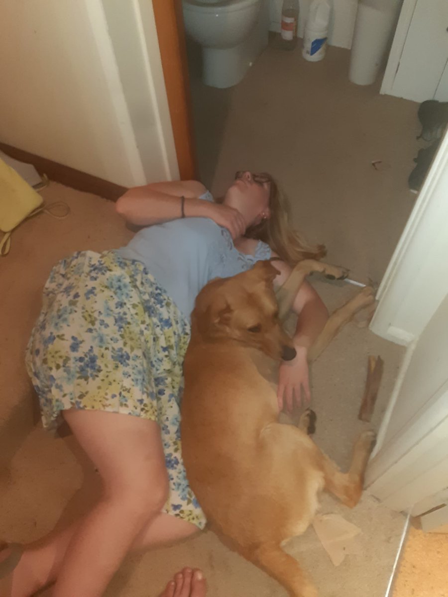 How every 2 year olds birthday should end