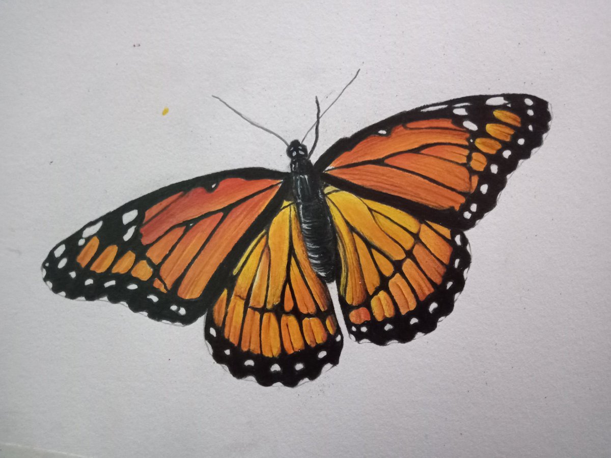 เชรดดดมาwaaa ในที่สุด🥲😭🦋