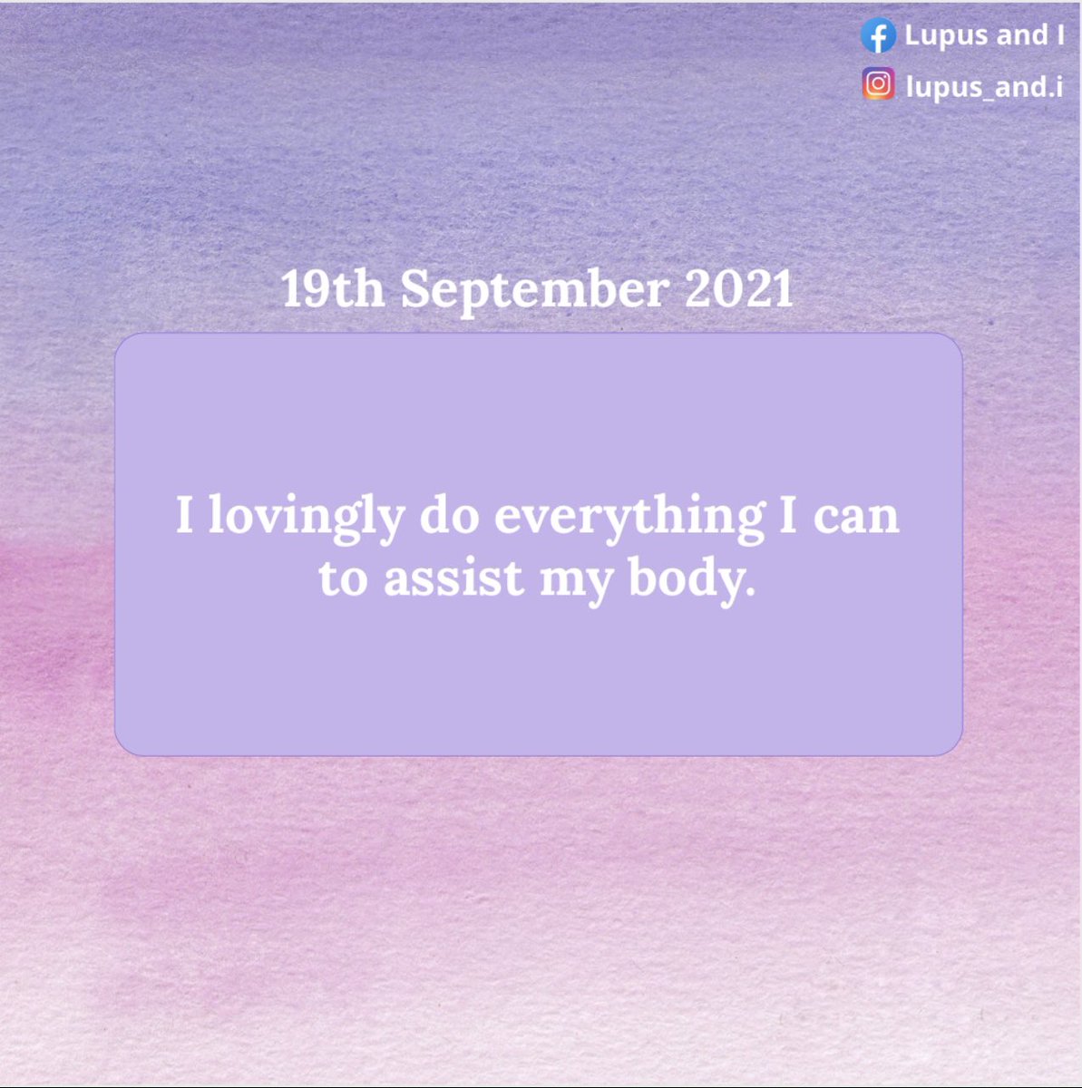 and_lupus's tweet image. 💜

#lupusandi #lupusandiclosedgroup #lupus #lupusawareness #lupusadvocate #lupuslife #lupusdiva #lupuswarrior #lupusfighter #lupuswillnotdefeatme #lupusaffirmations