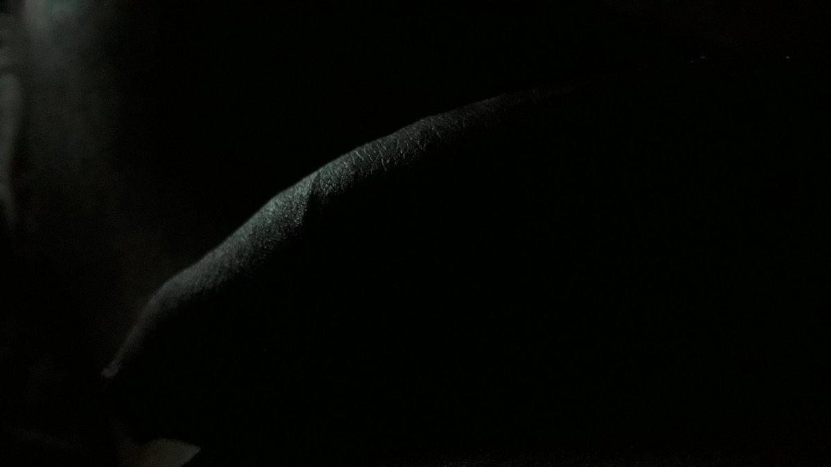 querovinivc's tweet photo. @AllFreeOnlyfans @LolaWestOF Vinicius Castro 😁☻ do you like #shadow? https://t.co/dKTKL65HxH
