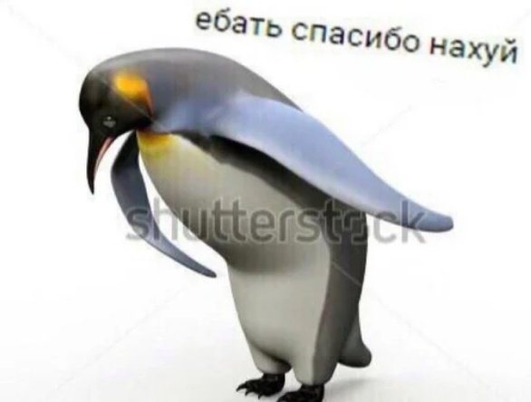 yourdreamiee's tweet image. я думала они уже забили на мани

#EXCLUSIVE_PERFORMANCE_VIDEO