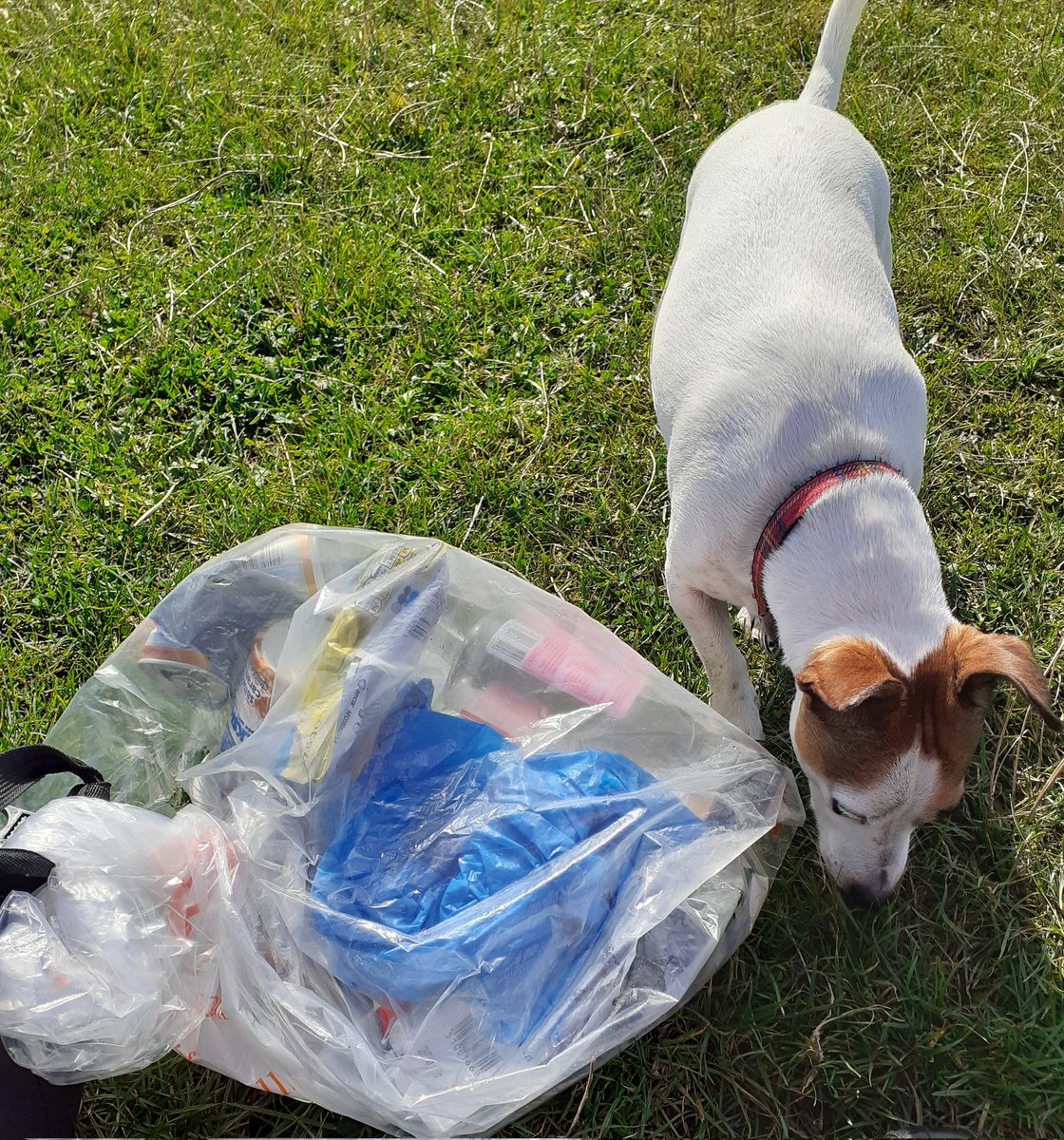 Stafford common #litterpick bottles, cans, wrappers etc.