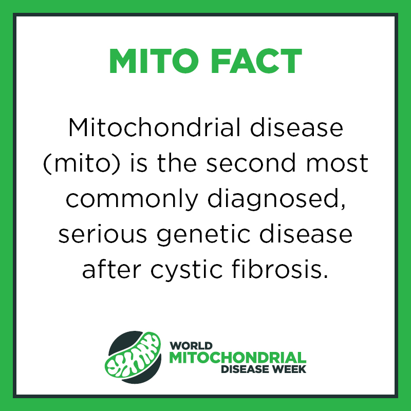MDSupportCentre's tweet photo. Today marks the start of Mitochondrial Disease Awareness Week. 3.5% of the service users we support who took part in our last annual engagement survey, live with #mitochondrialdisease
#wmdw #mito #mitoawarenessweek #mitoawareness #lightupformito #MDAwarenessMonth #MDAwareness https://t.co/YZ8nsqmIS2