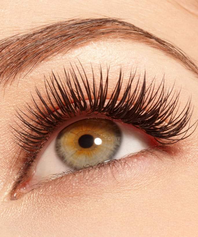 Cielonaz1's tweet photo. #lashesonfleek #minklashes #classiclashes #lashmaker #eyes #lashaddict #lashing #minkeyelashes #lashbeauty #cielobeauty #brow #eyebrow #eyelook #eyesmakeup #eyebrows #eyebrowshaping #eyebrowthreading #eyebrowtutorial #eyebrowtinting  #eyebrowtatoo #eyebrowdesigner https://t.co/SPrarNJrKk