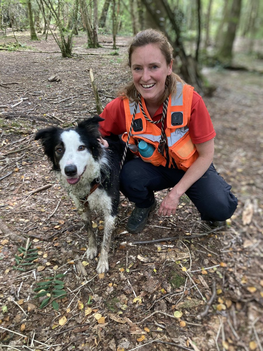 SDOllie06's tweet photo. Well I’ve only gone and done it… I’ve become a Qualified level 2 Lowland Search and Rescue dog #gosearch #lowlandrescue #searchandrescue #searchdogssussex
Looking forward to joining the gang @SDSussex with @SpiceVizsla @searchdogmillie
(Picture from a less wet session!) https://t.co/IHcDrcUoBy
