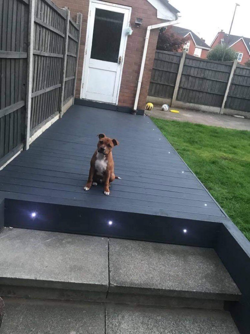 dpsigroupltd's tweet image. 🟧⬛️ DPSI Group installing decking lights at a local property in Wigan 🏡 
Beautiful lighting on this new decking. Like a runway for the puppy 🐶

Email- dpsigroup@outlook.com
Contact - 01942 588 922 🔥 

#dpsigroupltd #deckinglights #lightup #puppy #boxer #puppylove #puppylife