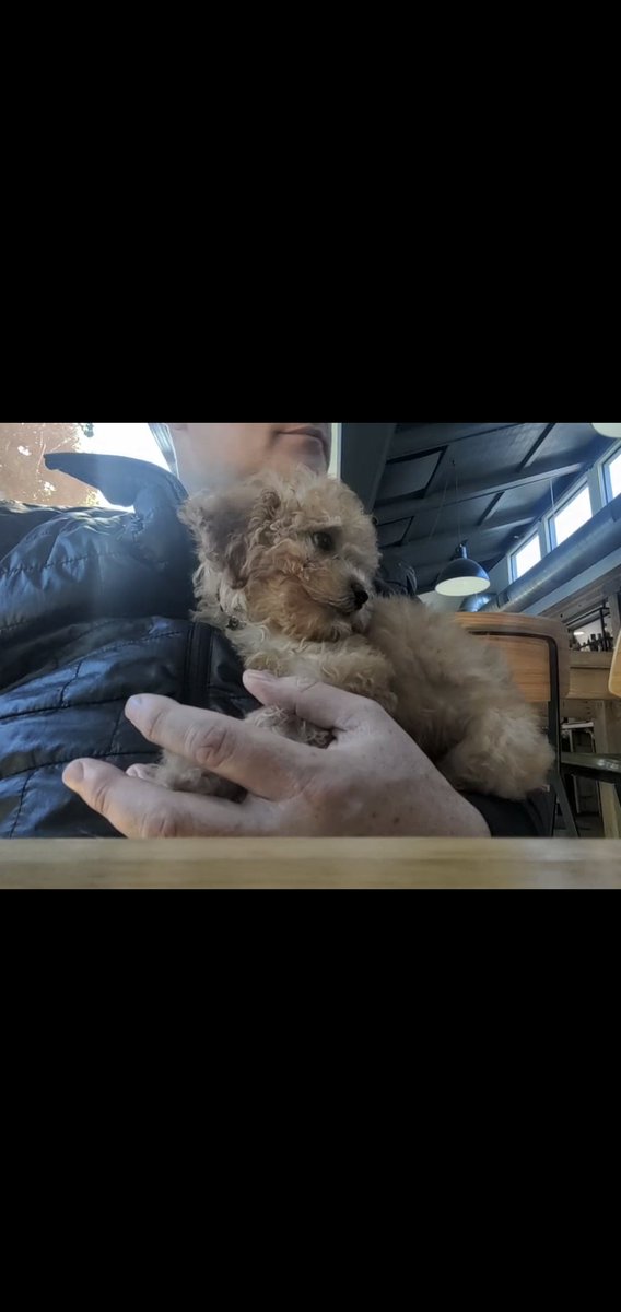 Made a new friend yesterday... Cakes 🐶 <a href="/Ashli/">Ashli Dompier</a>