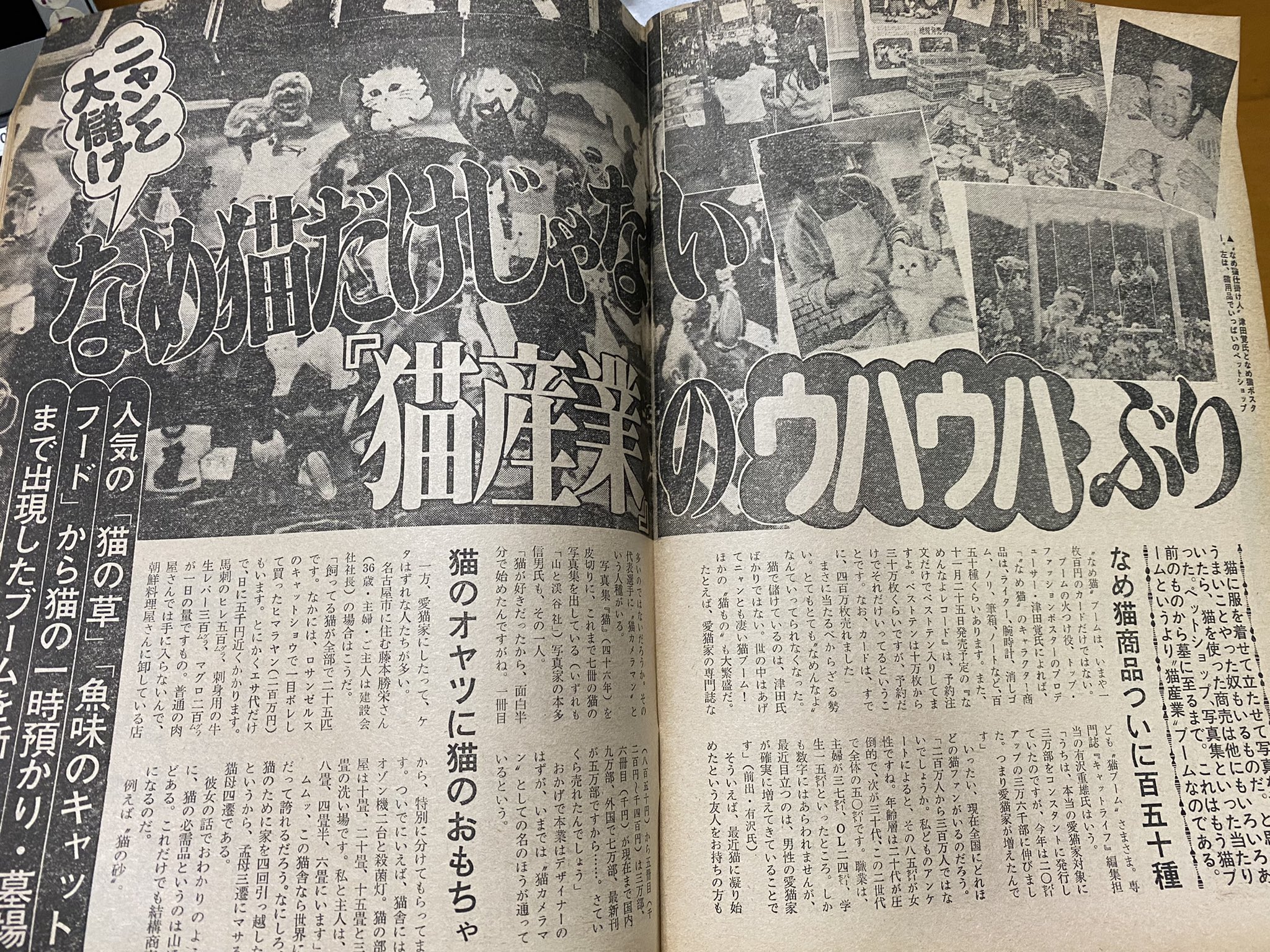 ナンブ寛永 on Twitter: ナンブ寛永 on Twitter: