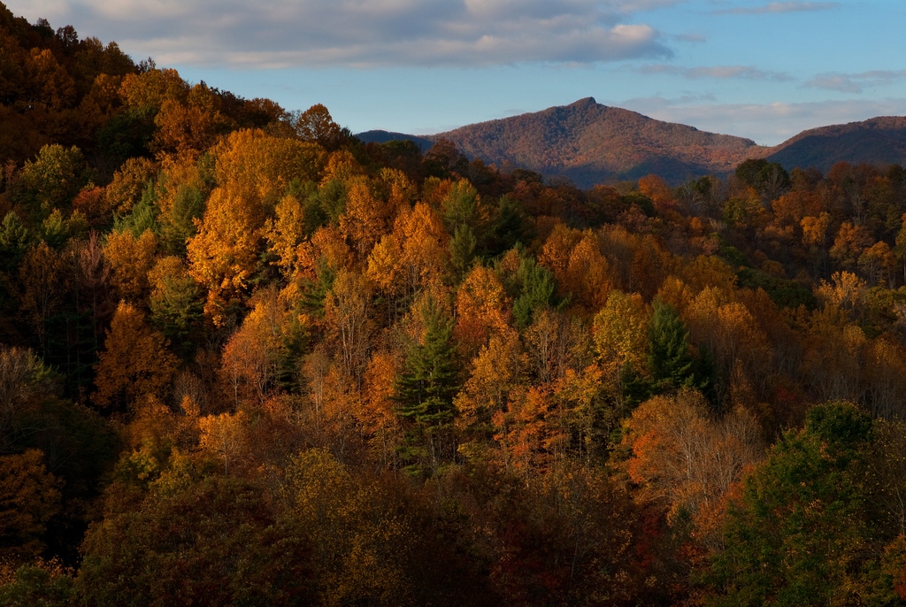 MastStore's tweet photo. We're changing up this year's #FallFoliagePrimer. You'll still find tips to improve your fall photography and advice for planning your fall excursion, but we're also adding fall-themed getaways in each of our home communities.
https://t.co/1ldBWAjS4e https://t.co/poripJVxoT