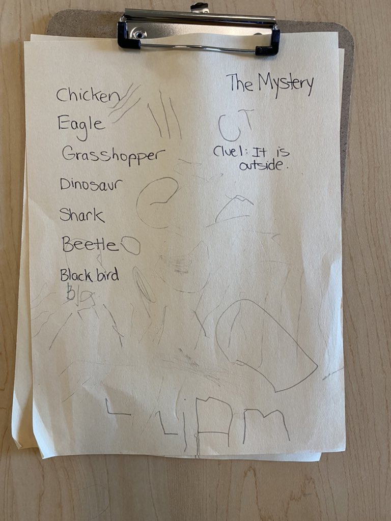 Take a look inside this 48 minute long, preschool student-led inquiry called “What pooped on our window?”They made hypotheses, used facts to prove/disprove, recorded thoughts, and researched for more information. All ideas were treated with kindness, even shark.