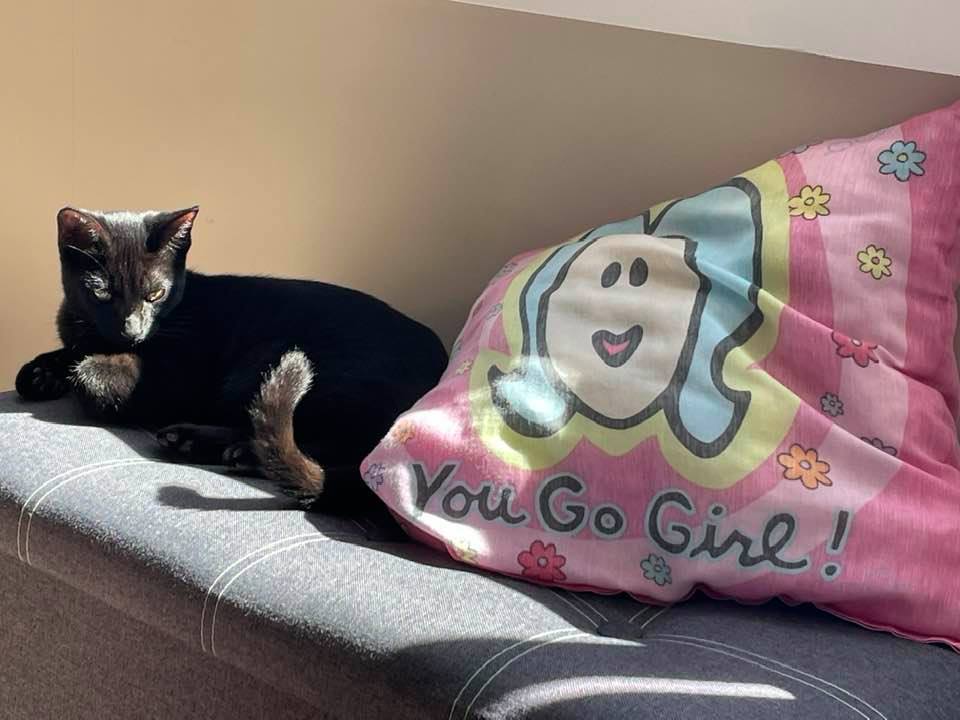 Mary Jane, you go girl!!!