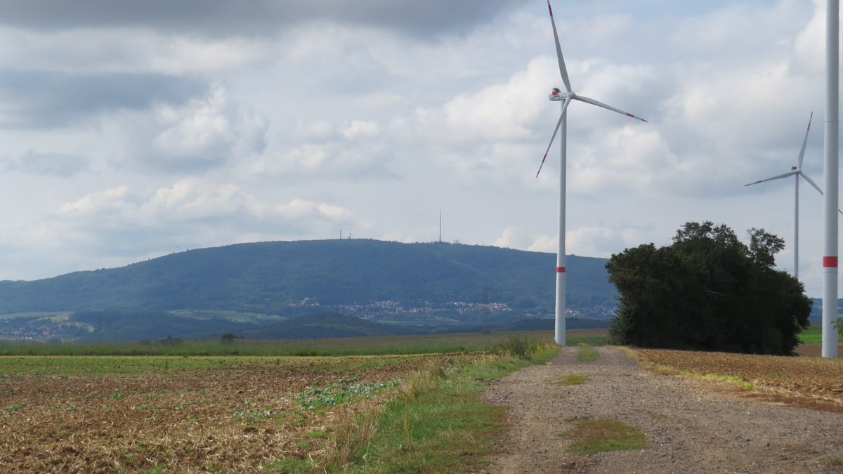 ADB0806's tweet photo. A wonderful @komoot meandering today with @sam15081 and Charlie Chops in the area of #Albisheim and #Marnheim under the shadow of the #Donnersberg https://t.co/jS0ei9x2SJ