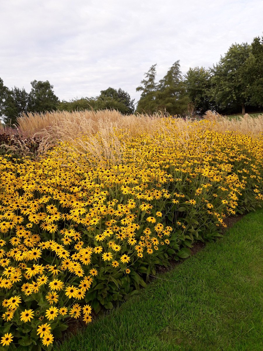 gardenoracle's tweet image. A lovely afternoon yesterday at Hyde Hall autumn plant fair followed by a walk around the garden. It looked stunning in the sunshine.@RHSHydeHall