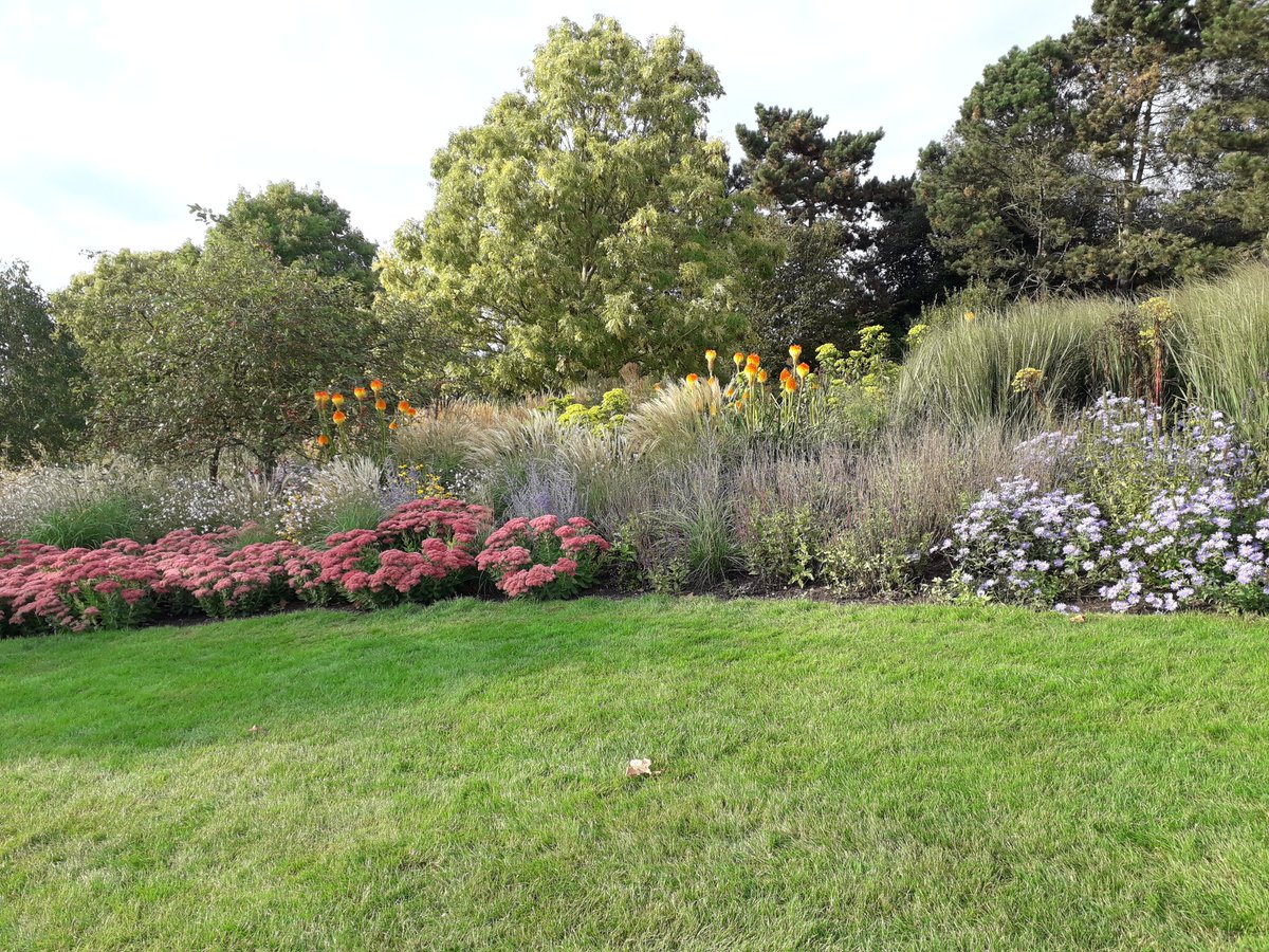 gardenoracle's tweet image. A lovely afternoon yesterday at Hyde Hall autumn plant fair followed by a walk around the garden. It looked stunning in the sunshine.@RHSHydeHall