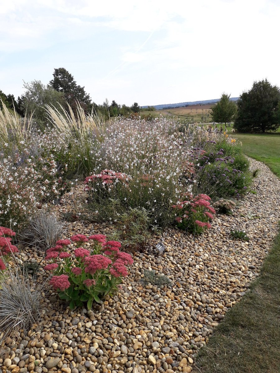 gardenoracle's tweet image. A lovely afternoon yesterday at Hyde Hall autumn plant fair followed by a walk around the garden. It looked stunning in the sunshine.@RHSHydeHall
